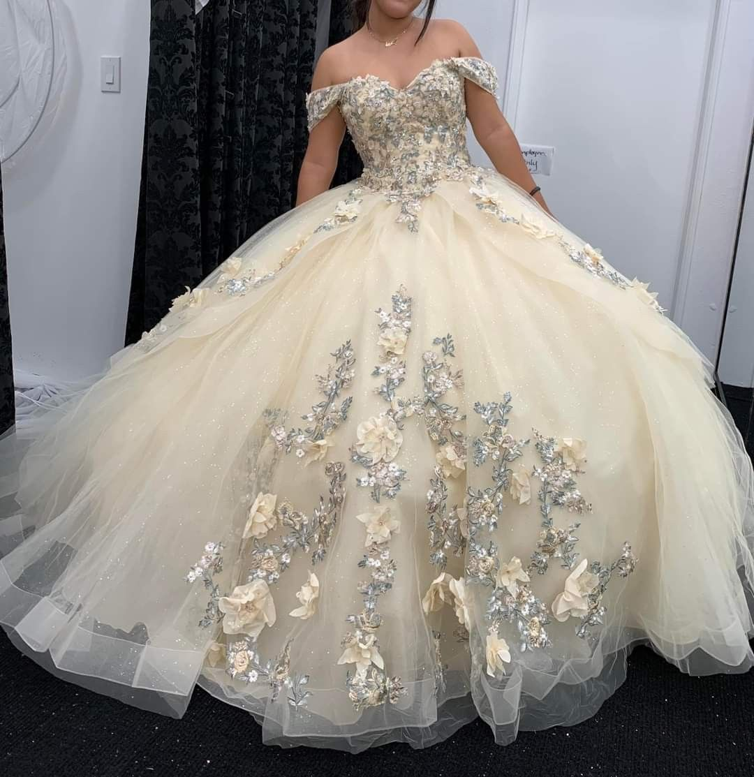 Off The Shoulder Appliques Tulle Ball Gown,Sweet 16 Dress,Y2462