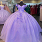 Shiny Off The Shoulder Ball Gown with 3D Flowers Sweet 16 Dress Y4351