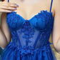 Long Royal Blue Sparkly Corset Embroidered Evening Dress With Slit Y6807