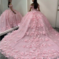 Pink Off Shoulder Ball Gown Quinceanera Dresses 3D Appliques Corset Dress Y6791