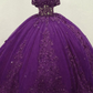 Ball Gown Sweetheart Quinceanera Prom Dresses Sweet 15 Party Y4308