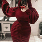 Vintage Burgundy Evening Dress With Long Sleeves Y4884