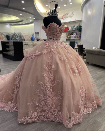 Sparkly Pink Appliques Ball Gown,Pink Princess Dress Y2341