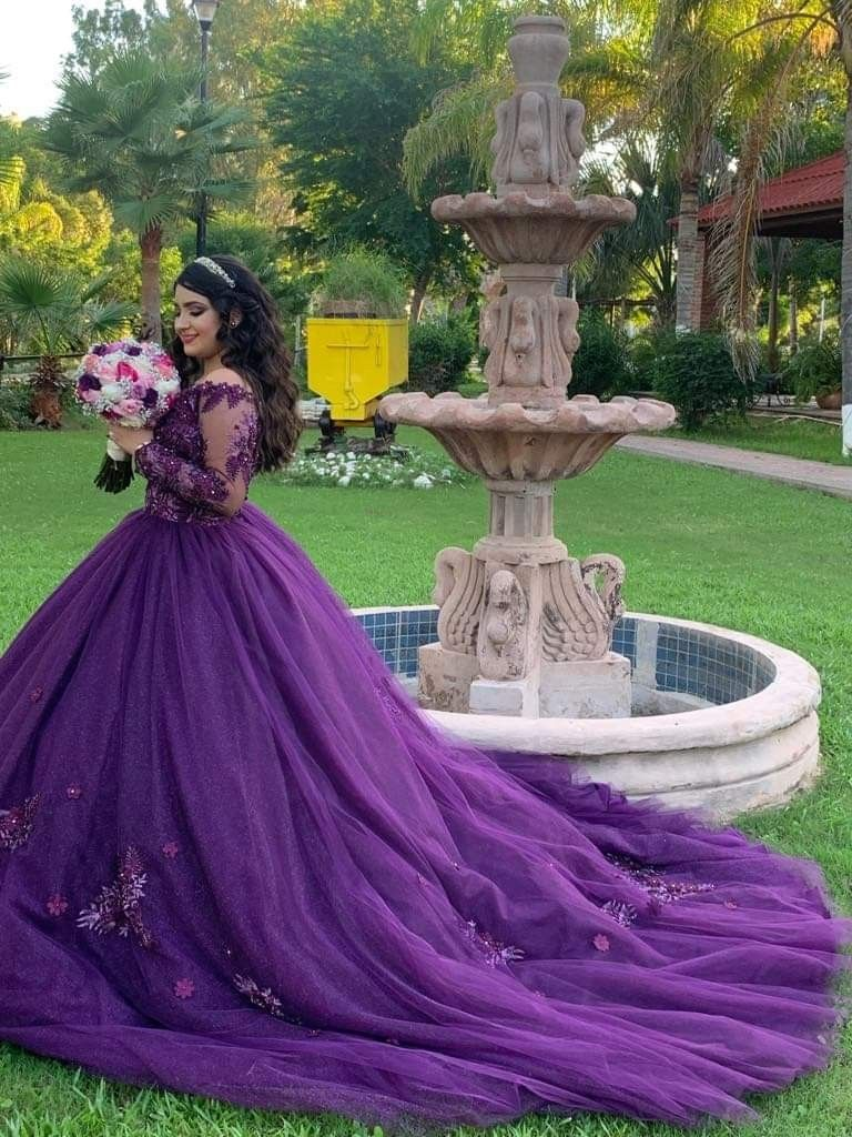 Long Sleeve Quinceanera Dresses with Flowers Applique Special Occasion Dress Ball Gown Sweet 16 Dress Y4309