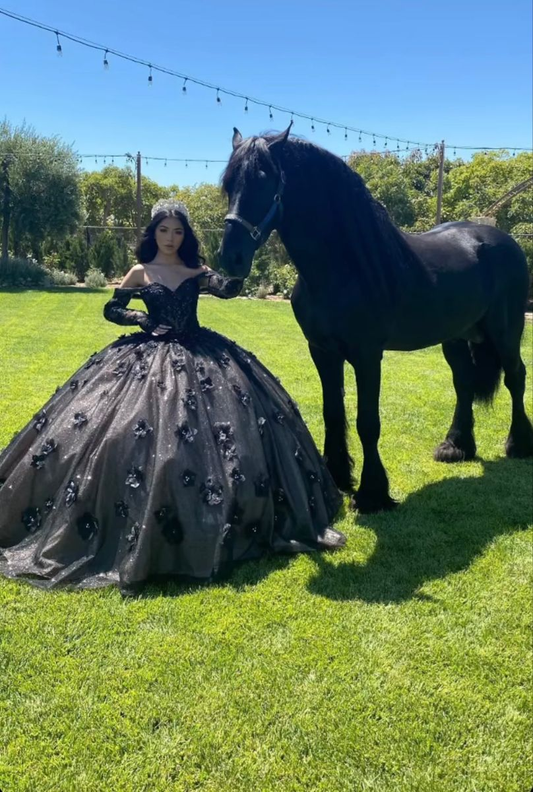Black Off The Shoulder Ball Gown,Sweet 16 Dress,Quinceanera Dress Y5299