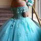 Off The Shoulder Lace Tulle Ball Gown Princess Dress Y3087