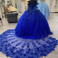 Royal Blue Sweet 16 Princess Ball Gown Quinceanera Dresses with Train for Girls Prom Party Evening Long,Y2479