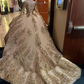 Luxurious Glitter Long Sleeve Dresses Romantic Appliqued Tulle Ball Gowns Y443