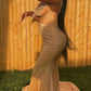 Mermaid Spaghetti Straps Prom Dress Sexy Evening Dress With Train Y544