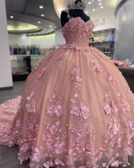 Luxurious Pink 3D Applique Ball Gown Princess Dress Sweet 16 Dress Y824