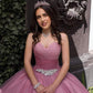 Elegant Sweetheart Tulle Ball Gown,Princess Dress Y1089